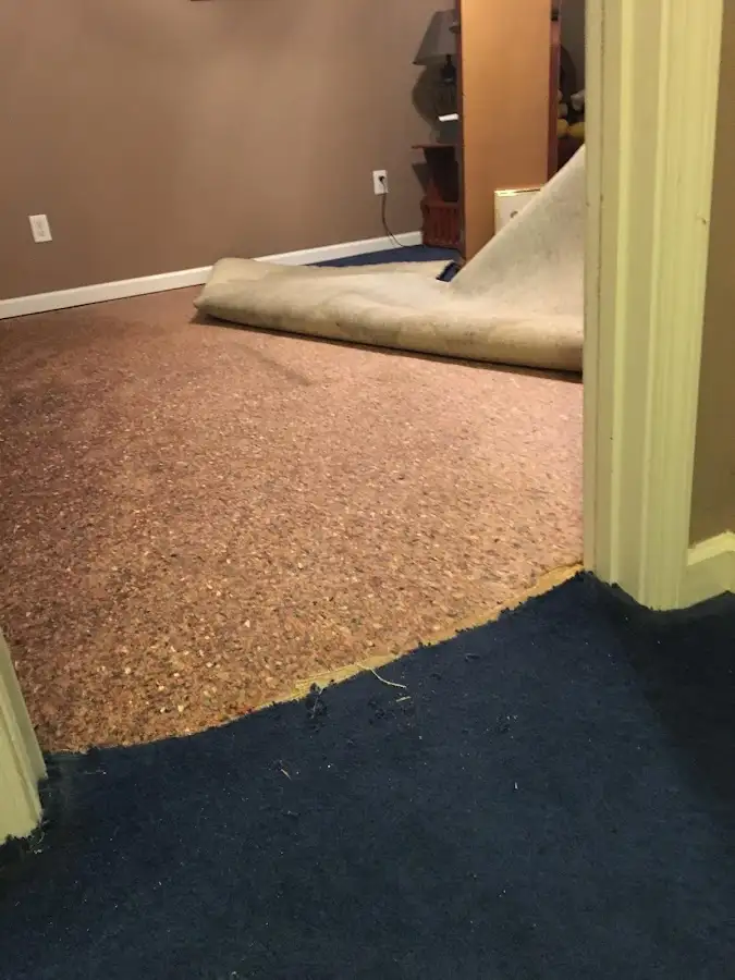 Carpet pad removal revealing water damage during Drying & Dehumidification in Thomas