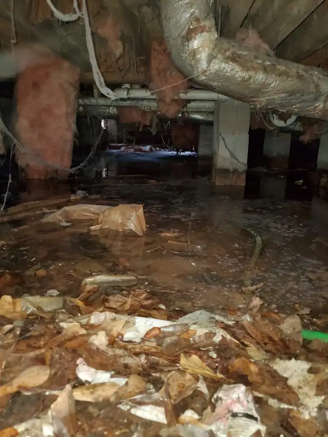 Crawl space flood assessment for Leak Detection & Repair in Thomas