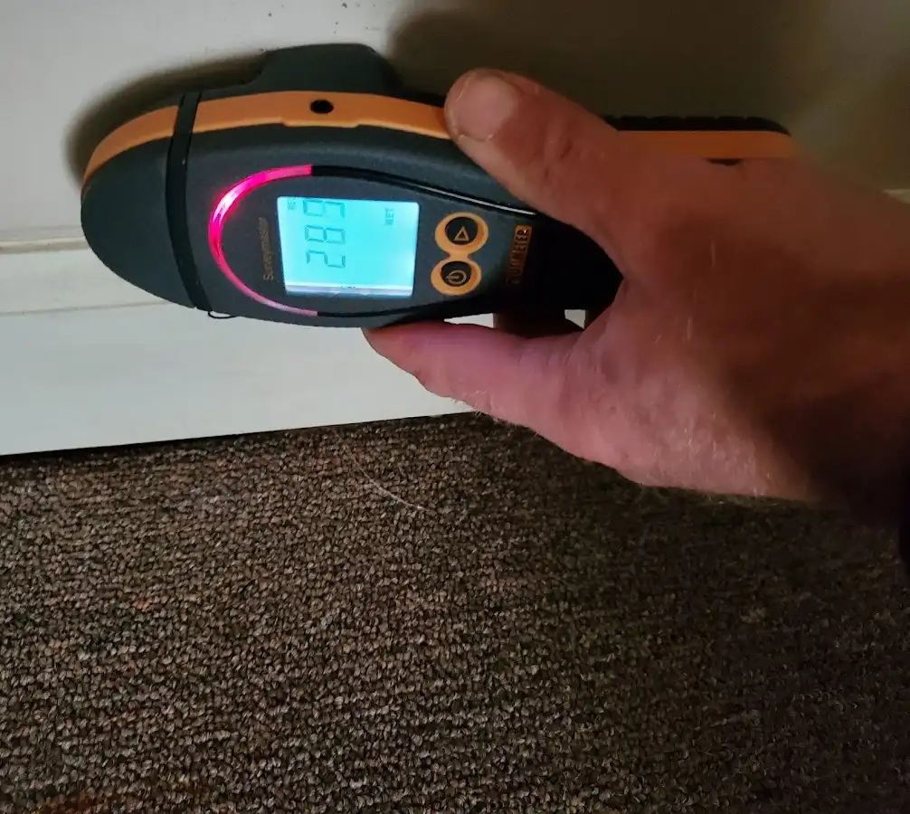 Moisture detection at baseboard during Mold Inspection & Testing in Thomas