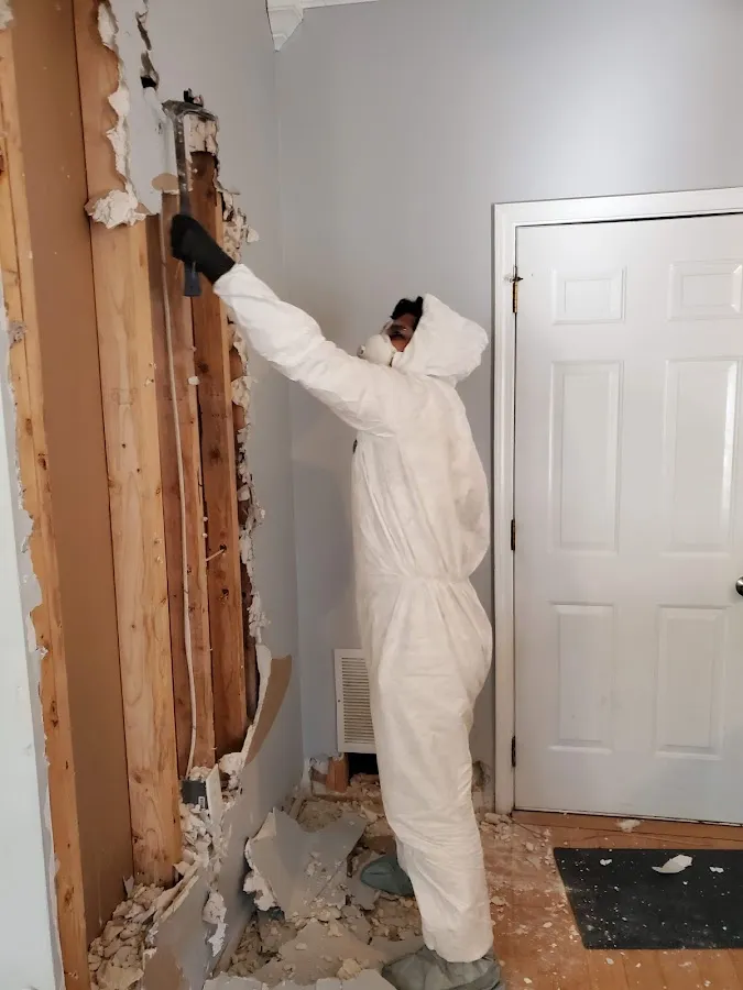 Mold Remediation & Removal in Thomas, MI